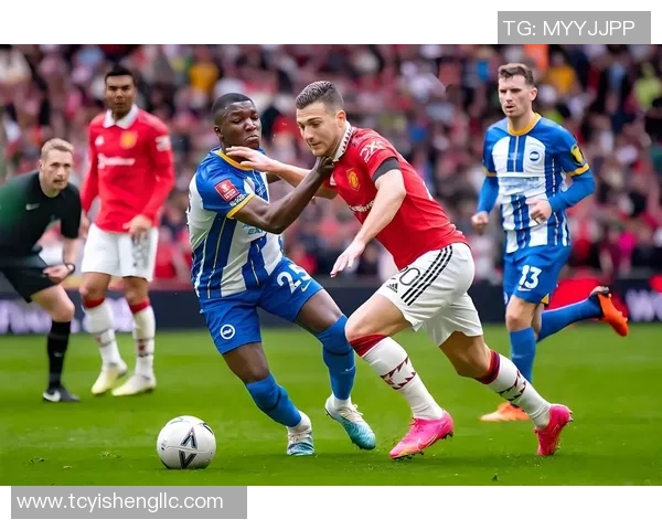 足总杯精彩对决本菲卡逆转里昂红牌争议引发全场热议